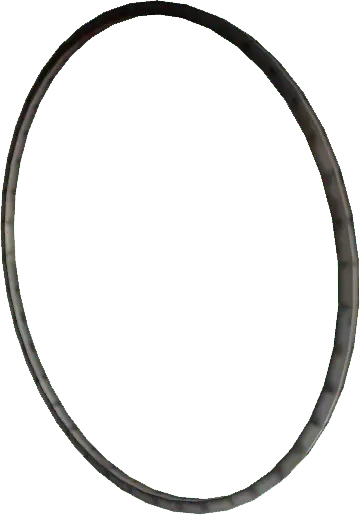 Hoopy_the_Hoop.png