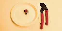 Glados_screens_confusedcake003.webp