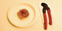 Glados_screens_confusedcake009.webp