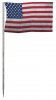 Moon_US_flag.jpg
