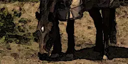 image.webp