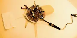 image (6).webp