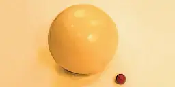 image (8).webp