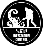 1738145362536.webp