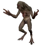 1740071763622.webp