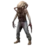 1740146477119.webp